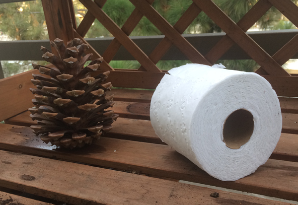 Pine Cone vs Toilet Paper